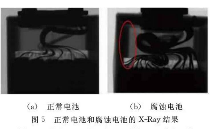 腐蝕電池和正常電池進(jìn)行解剖分析