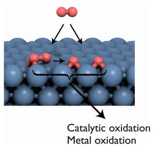 金屬表面的O2活性對非均相催化劑結(jié)合和反應(yīng)性的影響